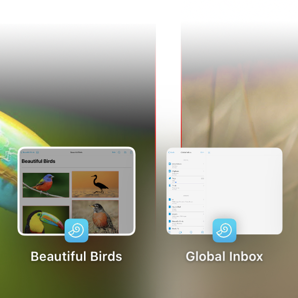Bildschirmfoto des iPadOS-Fenster-Swichers mit zwei geöffneten DEVONthink To Go Fenstern.