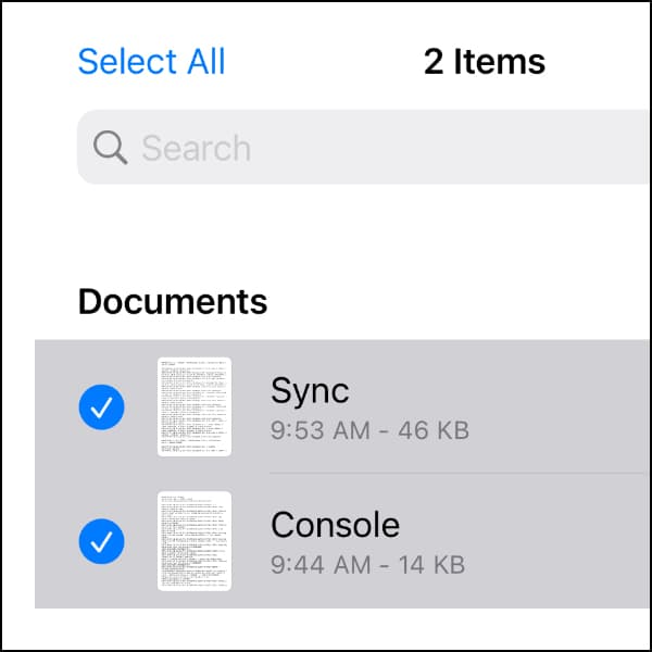 Bildschirmfoto, welches ausgewählte Protokoll-Dateien im App Dateien zeigt.
